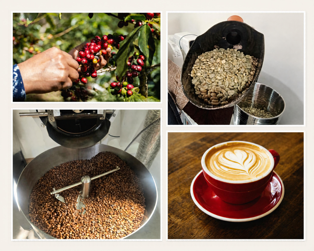 ¿Que es el café de especialidad?