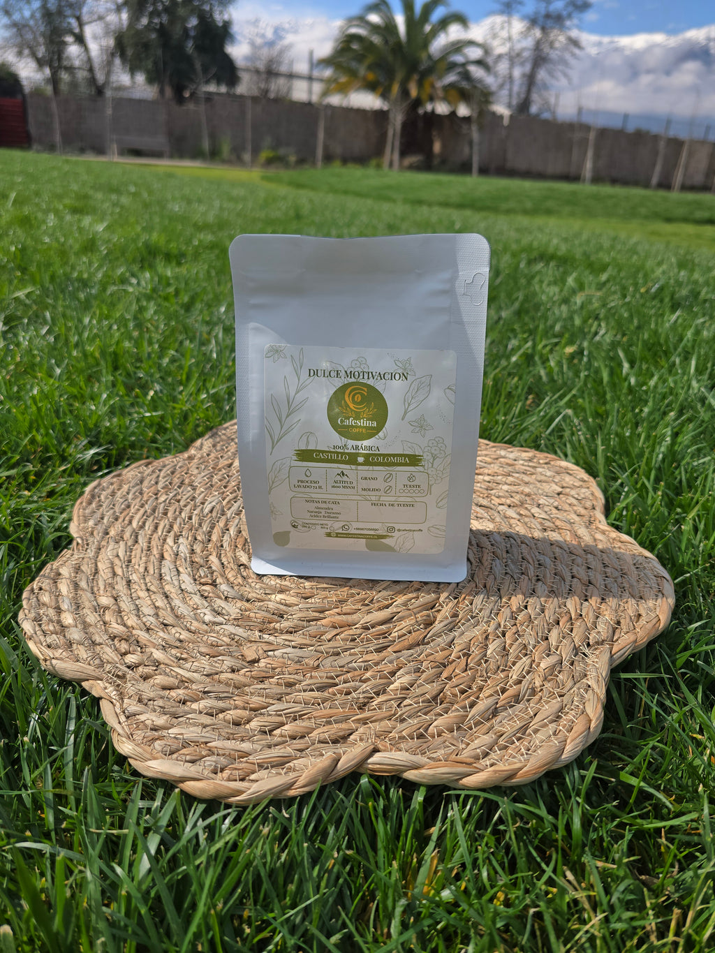Pack café de especialidad 250g + Cafetera colores
