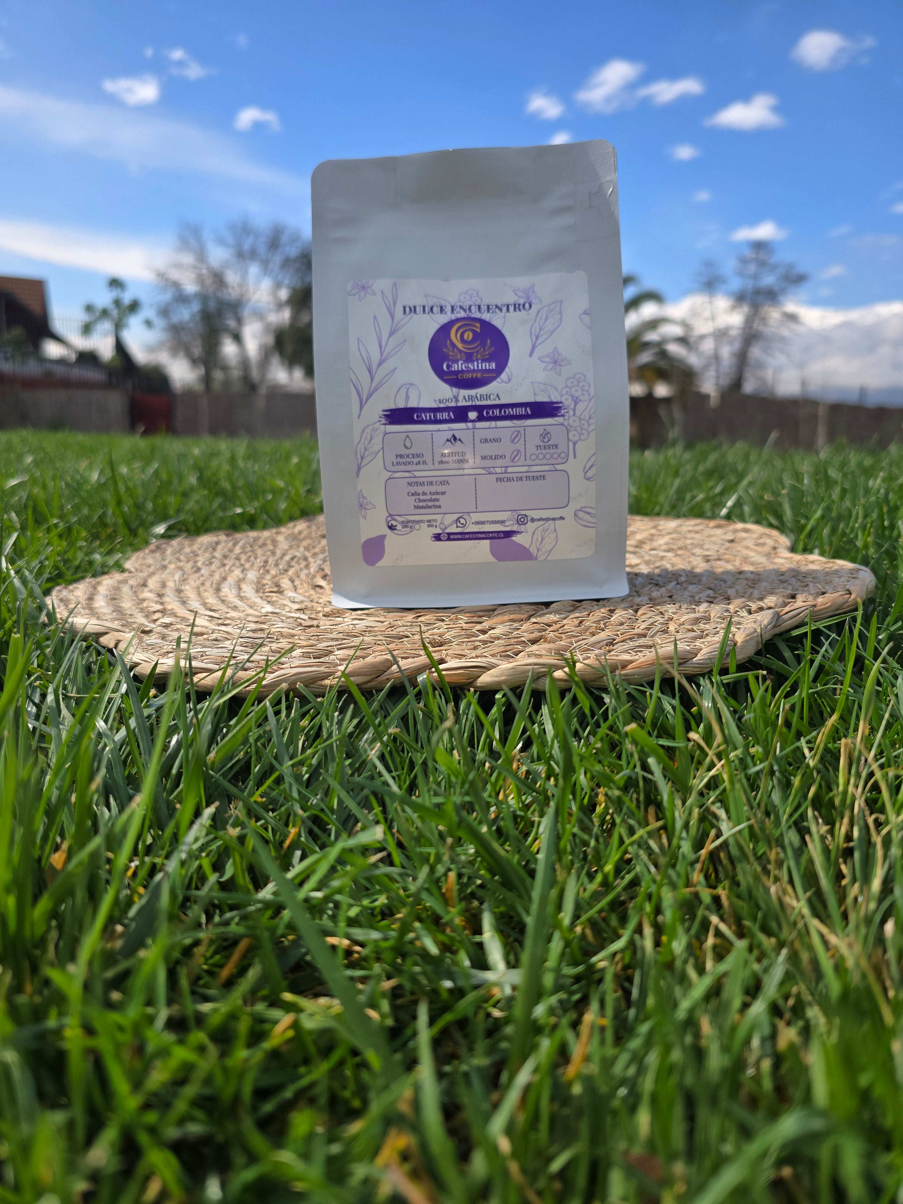 Café de especialidad 250 g + prensa francesa 300 ml