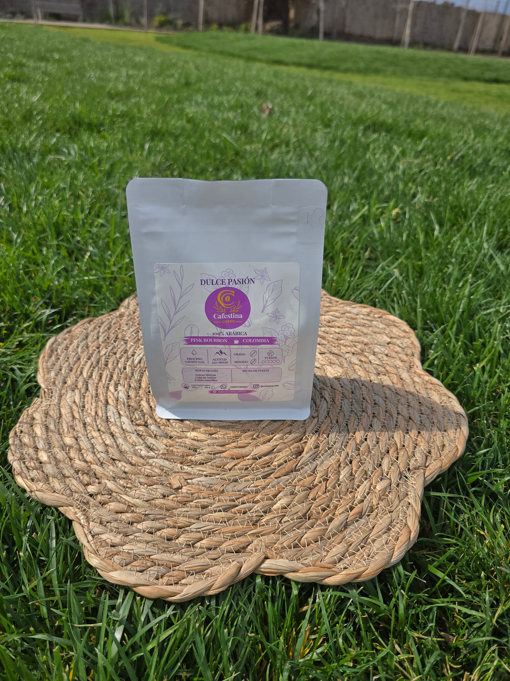 Pack café de especialidad 250g + Cafetera colores